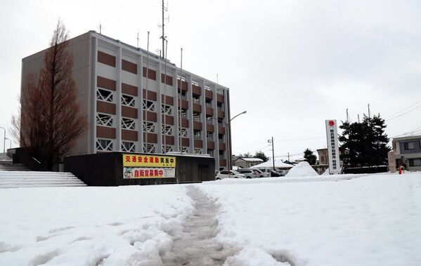 Снегопад в японском городе Касивадзаки - Sputnik Lietuva