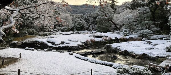 Sužeista pora dešimčių žmonių. Yra ir aukų. Kol kas pranešta apie šešias aukas. Sužeista pora dešimčių žmonių. Yra ir aukų. Kol kas pranešta apie šešias aukas. - Sputnik Lietuva