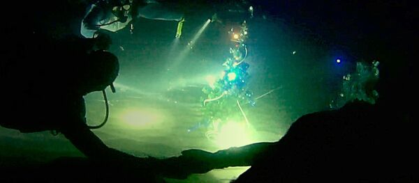 Крымские дайверы установили елку на дне Черного моря - Sputnik Литва