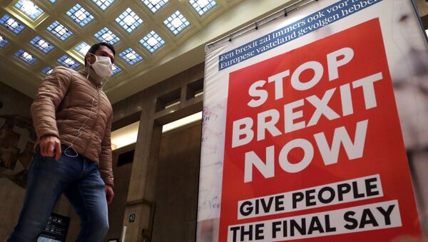 Мужчина проходит мимо рекламного щита с надписью: Остановить Брексит сейчас - Sputnik Литва