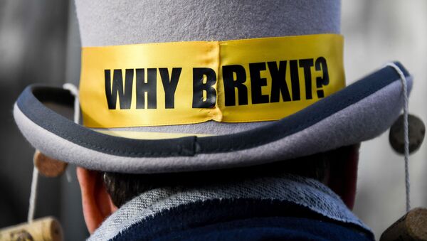 Демонстрант против Брексита у Вестминстерского дворца в Лондоне, Великобритания - Sputnik Lietuva