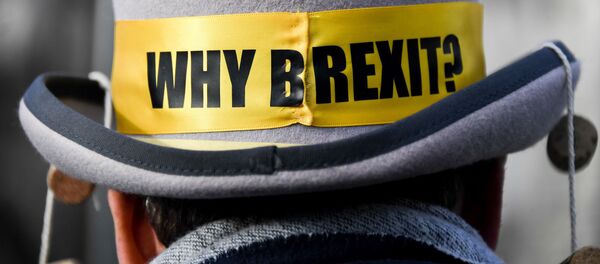 Демонстрант против Брексита у Вестминстерского дворца в Лондоне, Великобритания - Sputnik Литва