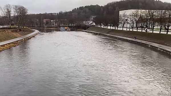 Загрязнение в Вильнюсской реке Нерис - Sputnik Литва