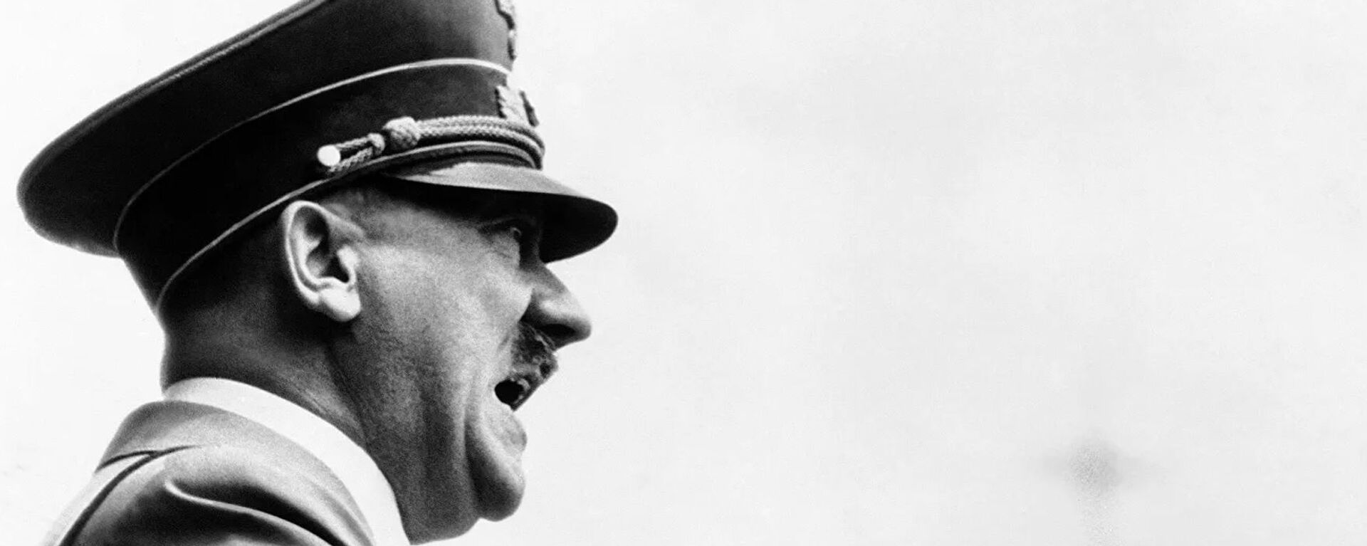 Adolfas Hitleris, 1938 metų gegužės 1 d. - Sputnik Lietuva, 1920, 09.01.2021