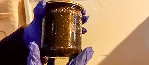 Более 400 килограмм черной икры осетровых рыб пытались вывезти из Литвы Более 400 килограмм черной икры осетровых рыб пытались вывезти из Литвы - Sputnik Lietuva