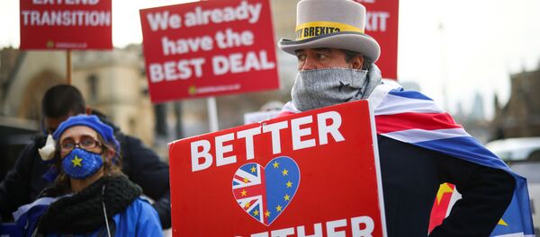 Протестующие против Брексита проводят демонстрацию у здания парламента в Лондоне Протестующие против Брексита проводят демонстрацию у здания парламента в Лондоне - Sputnik Литва
