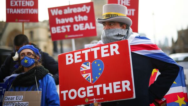 Протестующие против Брексита проводят демонстрацию у здания парламента в Лондоне - Sputnik Lietuva