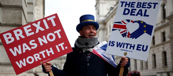 Протестующий против Брексита Стив Брей тующий против Брексита Стив Брей держит плакаты перед Министерством иностранных дел и по делам Содружества (FCO) в Лондоне, Великобритания Протестующий против Брексита Стив Брей тующий против Брексита Стив Брей держит плакаты перед Министерством иностранных дел и по делам Содружества (FCO) в Лондоне, Великобритания - Sputnik Литва