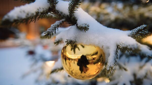 Новогоднее украшение в виде шара на елке - Sputnik Литва