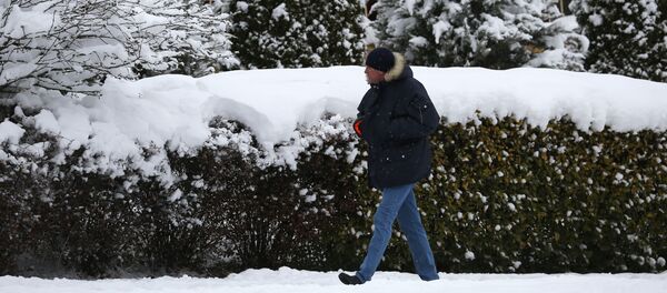 Vyras lauke Vyras lauke - Sputnik Lietuva