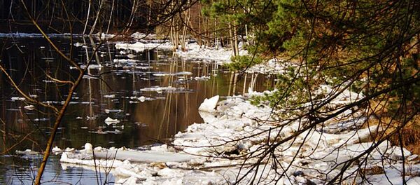 Река Нерис в Литве - Sputnik Литва
