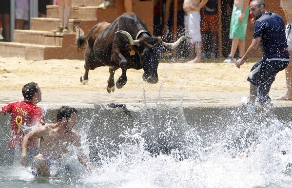 Бык прыгает в море во время испанского фестиваля Bous a la mar - Sputnik Lietuva