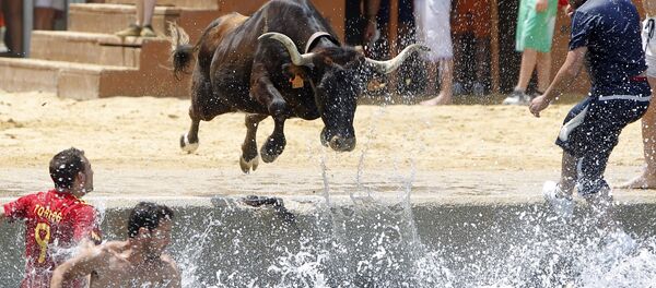 Бык прыгает в море во время испанского фестиваля Bous a la mar Бык прыгает в море во время испанского фестиваля Bous a la mar - Sputnik Lietuva