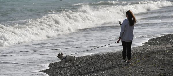 Женщина гуляет с собакой на набережной в Ялте, архивное фото Женщина гуляет с собакой на набережной в Ялте, архивное фото - Sputnik Lietuva