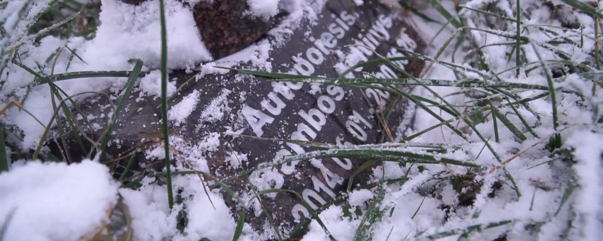 Куда попадает искусство после смерти: видео кладбища арт-объектов в Литве - Sputnik Lietuva, 1920, 05.01.2021