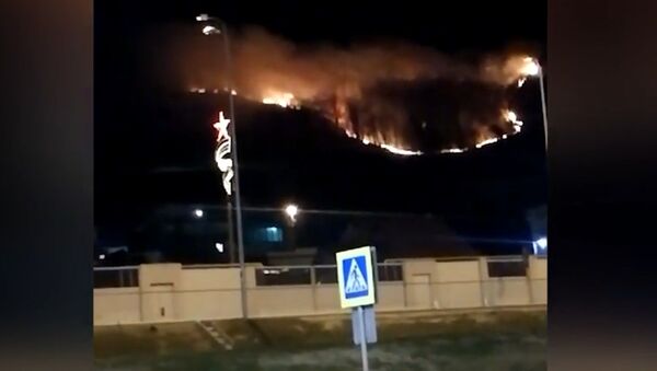 На видео показали природный пожар вблизи аэропорта Сочи - Sputnik Литва