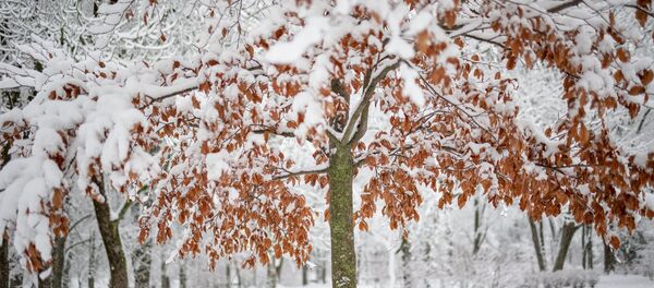 Вильнюс зимой  - Sputnik Литва