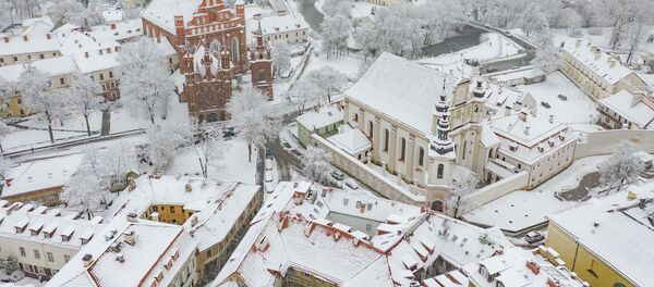 Панорама зимнего Вильнюса - Sputnik Литва