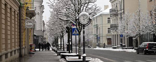 Снегопад в Вильнюсе - Sputnik Литва