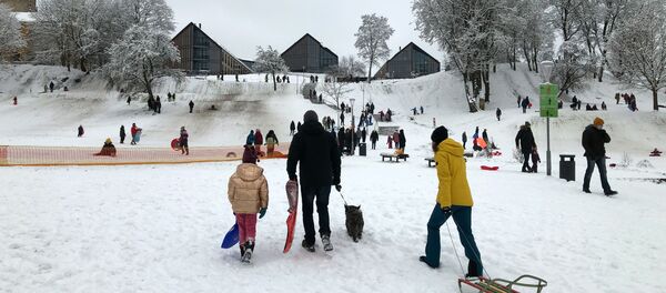 Снегопад в Вильнюсе - Sputnik Литва