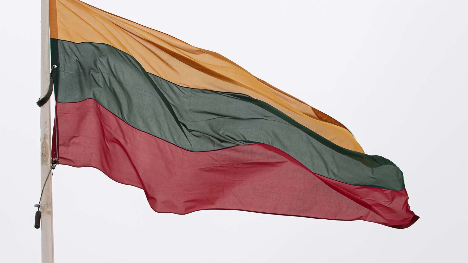 Lietuvos valstybės vėliava - Sputnik Lietuva, 1920, 16.02.2021