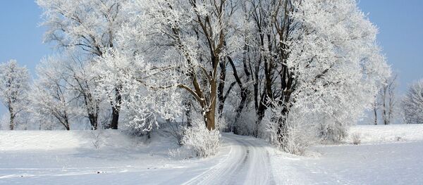 Зимняя дорога - Sputnik Литва