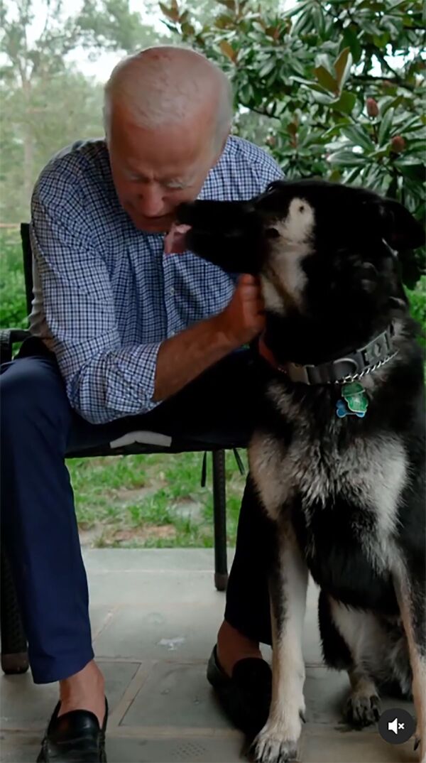 Избранный президент США Джо Байден со своей собакой по кличке Мейджор - Sputnik Lietuva