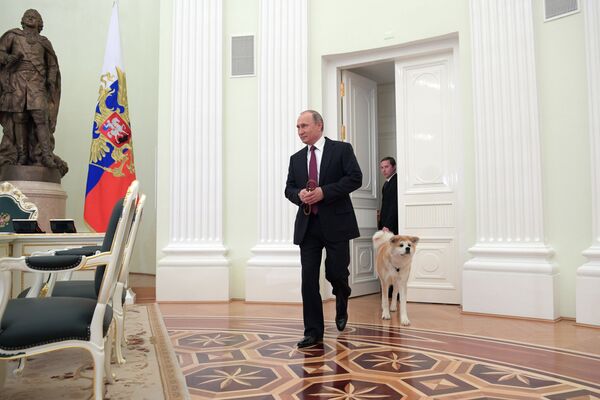 Президент РФ Владимир Путин с собакой Юмэ породы акита-ину перед началом интервью в Кремле  - Sputnik Lietuva