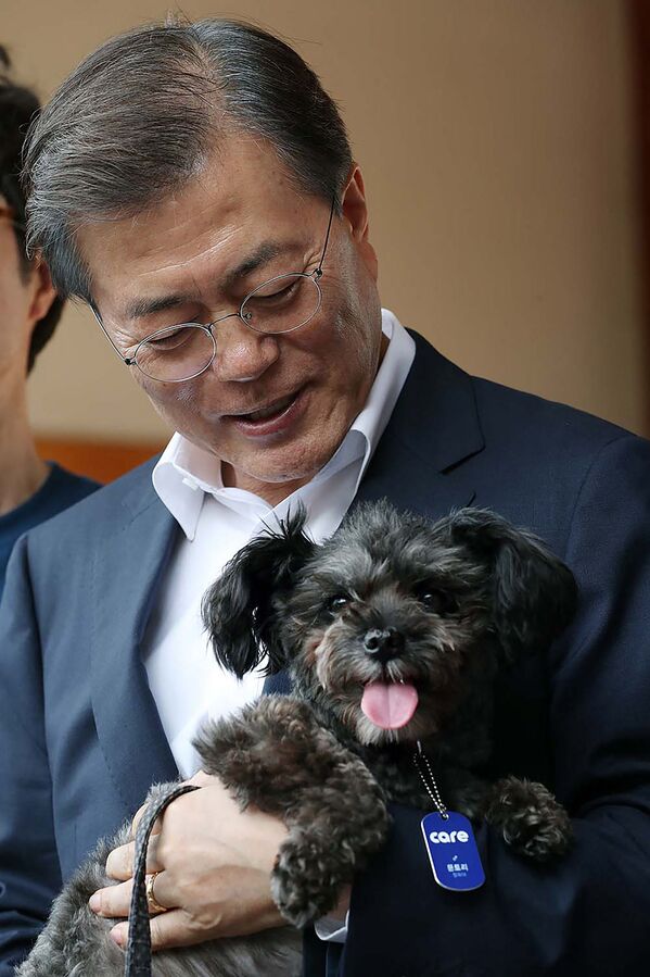 Президент Республики Корея Мун Чжэ Ин со своей собакой Тори в Сеуле - Sputnik Lietuva