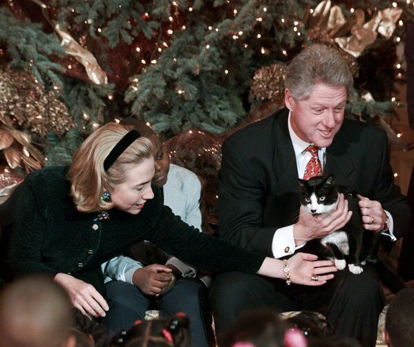 Президент Билл Клинтон и его жена с кошкой Сокс в Белом доме, 1996 год - Sputnik Lietuva
