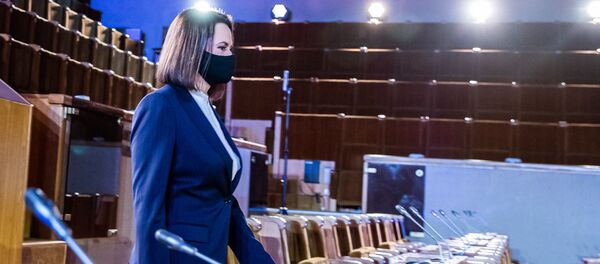 Экс-кандидат в президенты Белоруссии Светлана Тихановская в Сейме Литвы - Sputnik Литва