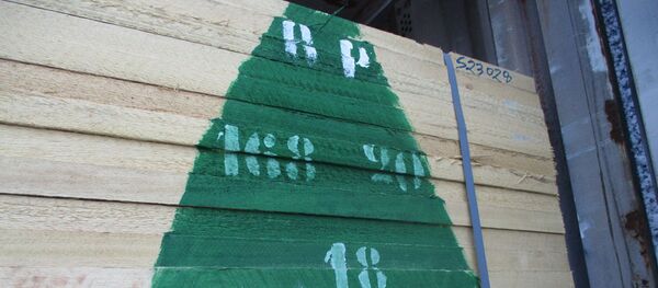 Контроль ввоза лесоматериалов тропических пород на российско-эстонской границе в Псковской области - Sputnik Литва