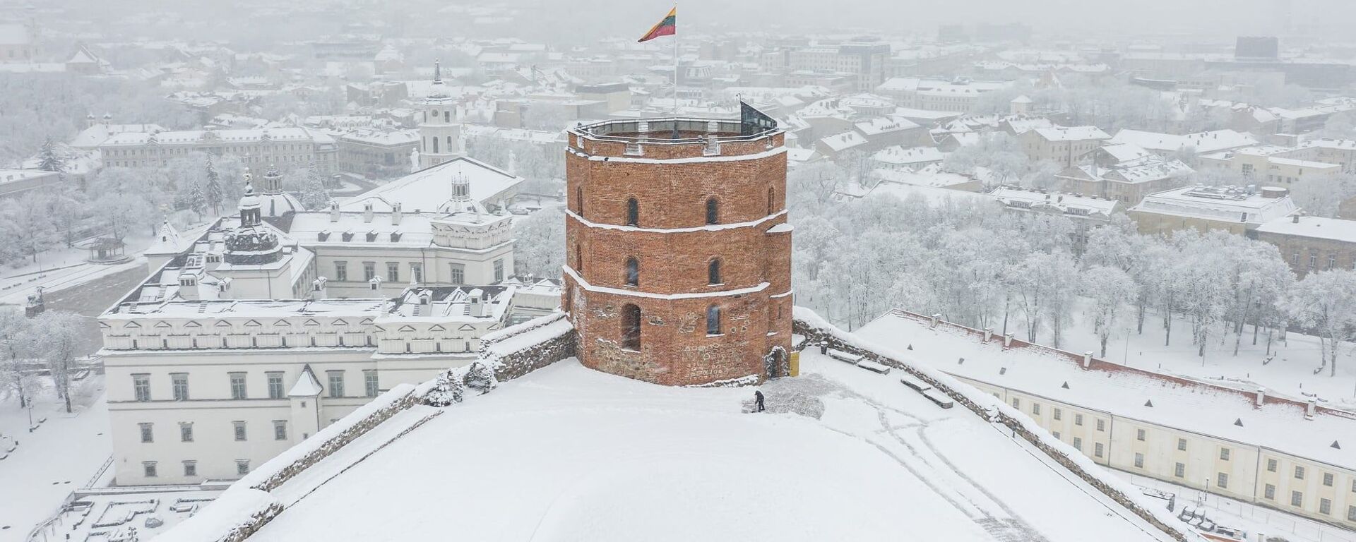 Башня Гедиминаса на фоне зимнего Вильнюса - Sputnik Литва, 1920, 31.12.2023
