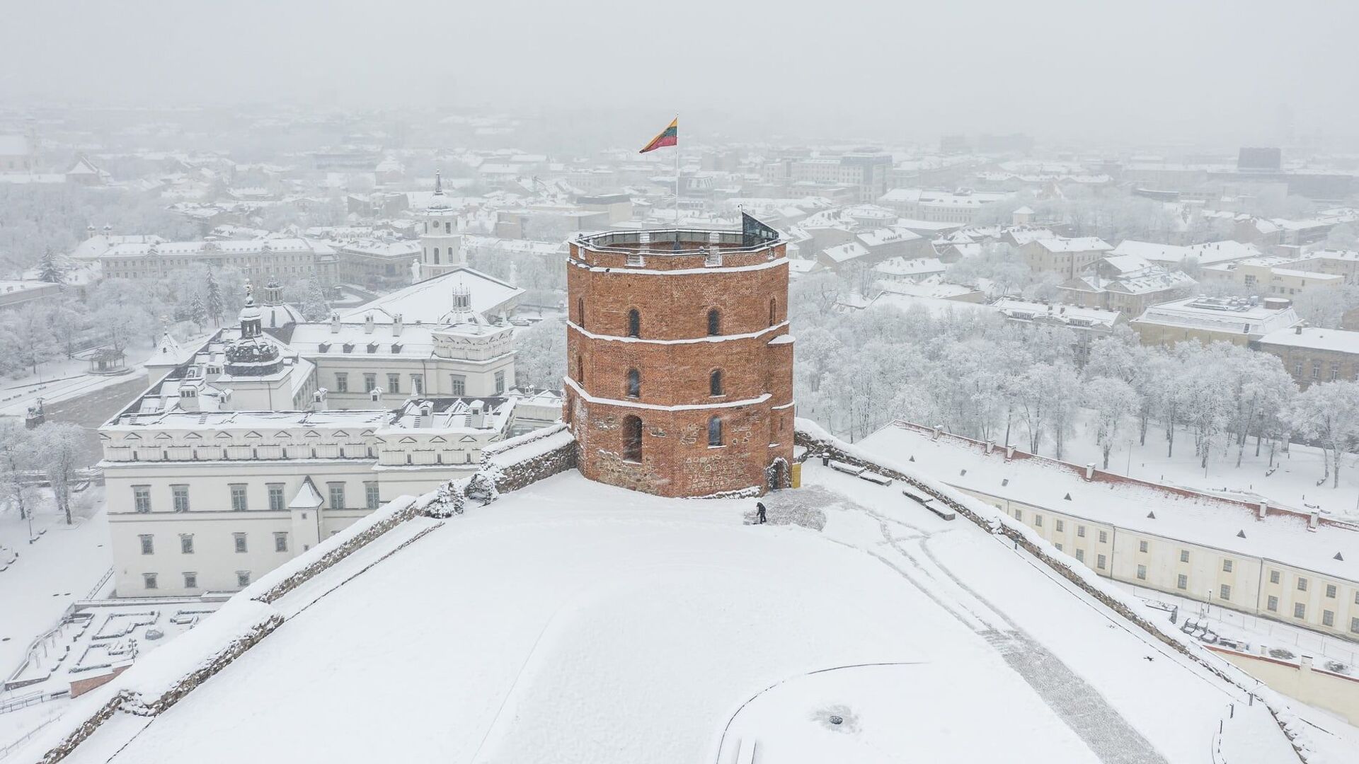 Башня Гедиминаса на фоне зимнего Вильнюса - Sputnik Lietuva, 1920, 13.01.2022