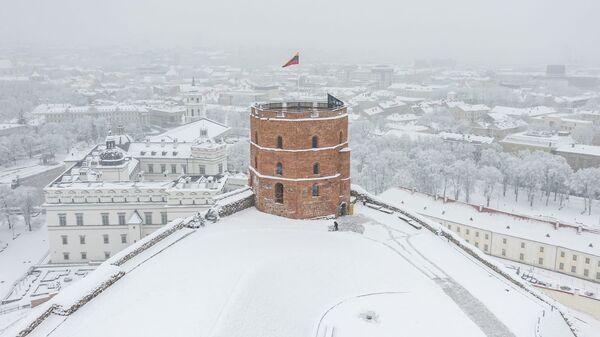 Башня Гедиминаса на фоне зимнего Вильнюса - Sputnik Литва
