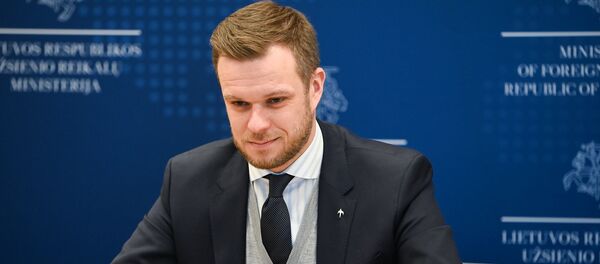 Глава МИД Литвы Габриэлюс Ландсбергис - Sputnik Литва