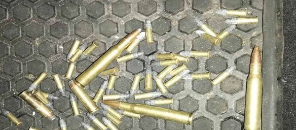 Патроны, которые нарушители попытались ввезти из Белоруссии в Литву, архивное фото Патроны, которые нарушители попытались ввезти из Белоруссии в Литву, архивное фото - Sputnik Литва