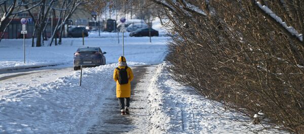 Улица Вильнюса зимой Улица Вильнюса зимой - Sputnik Lietuva