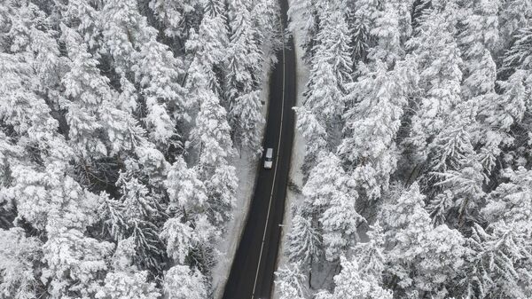 Автомобиль на зимней дороге в лесу - Sputnik Lietuva