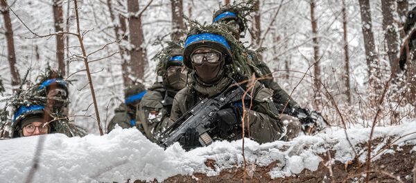 Литовские военные Литовские военные - Sputnik Литва