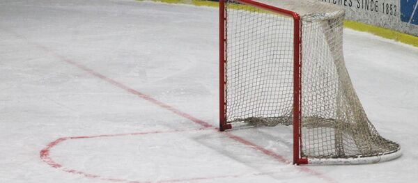 Хоккейные ворота Хоккейные ворота - Sputnik Литва
