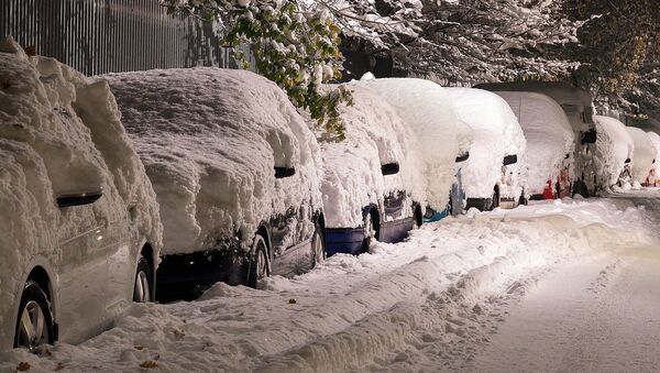 Припаркованные автомобили в снегу - Sputnik Lietuva