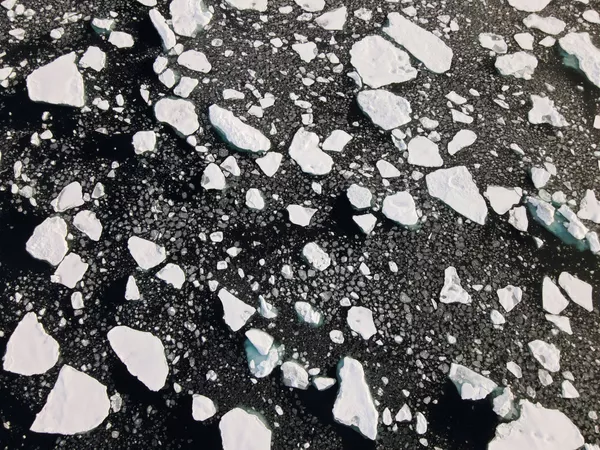 Аэрофотоснимок плавучего льда, сделанный дроном, запущенным с корабля Greenpeace Arctic Sunrise в Северном Ледовитом океане