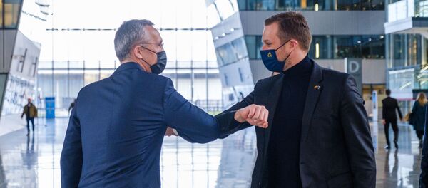 Генсек НАТО Йенс Столтенберг и министр иностранных дел Литвы Габриэлюс Ландсбергис Генсек НАТО Йенс Столтенберг и министр иностранных дел Литвы Габриэлюс Ландсбергис - Sputnik Литва