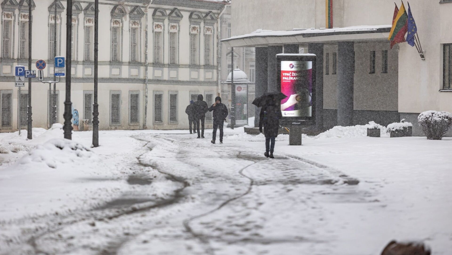 Снегопад в Вильнюсе - Sputnik Lietuva, 1920, 08.02.2021