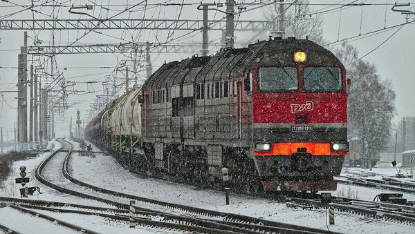 Товарный поезд зимой - Sputnik Lietuva
