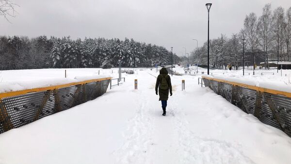 Снегопад в Вильнюсе - Sputnik Литва