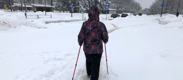 Снегопад в Вильнюсе - Sputnik Литва