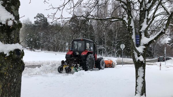 Снегопад в Вильнюсе - Sputnik Литва