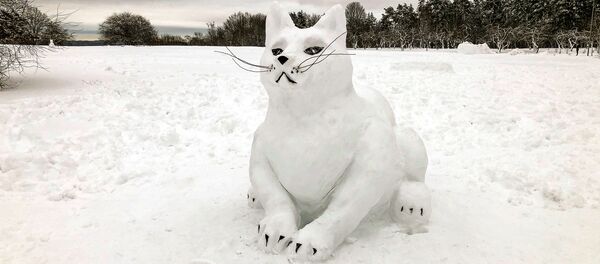 Снегопад в Вильнюсе - Sputnik Литва